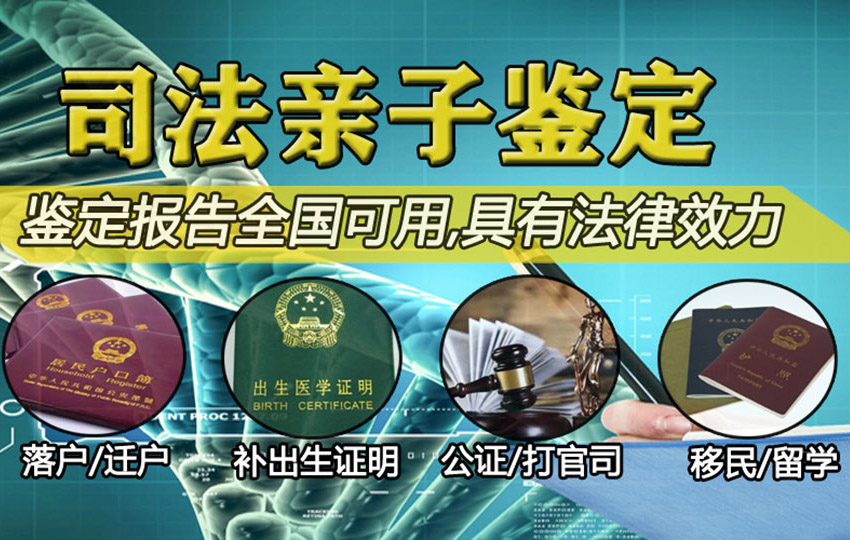 江门个人亲子鉴定